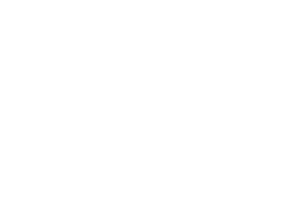 rgi logo